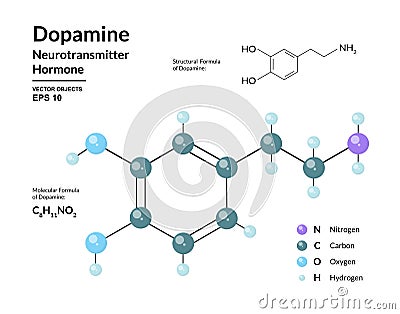 Dopamine Hormone. Neurotransmitter. Structural Chemical Molecular Formula and 3d Model. Atoms are Represented as Spheres Vector Illustration