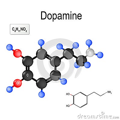 Dopamine. Structural chemical formula and model of molecule Vector Illustration