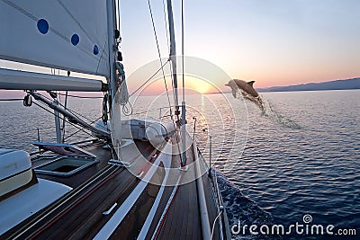 Doplhin jumping near sailing boat Stock Photo