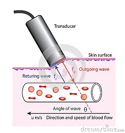 Doppler blood flow measurement Vector Illustration