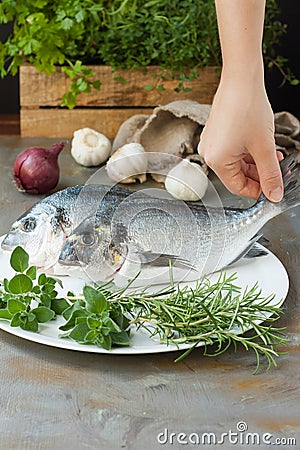 Dorade fish in cooking process Stock Photo