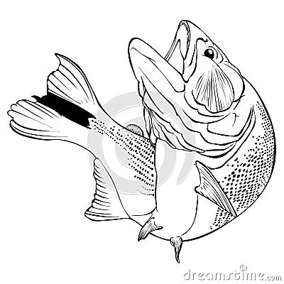 Dorado Fish Vector Illlustration Cartoon Illustration