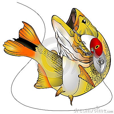 Dorado Fish Vector Illustration Cartoon Illustration