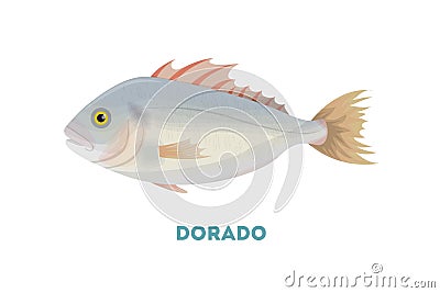 dorado fish. Vector Illustration