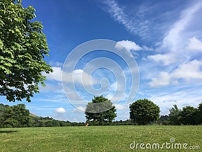 English Surrey countryside Stock Photo