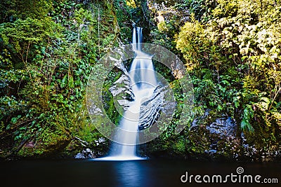 Dorothy Falls in Kokatahi, New Zealand Stock Photo