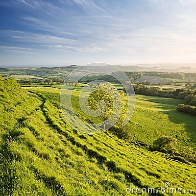 Dorset Landscape Stock Photo