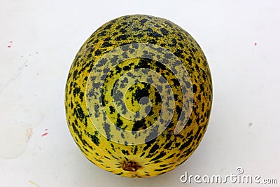 Dosakaya, Cucumis melo subsp. agrestis var conomon Stock Photo