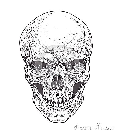 Dotwork Skull Vector Illustration