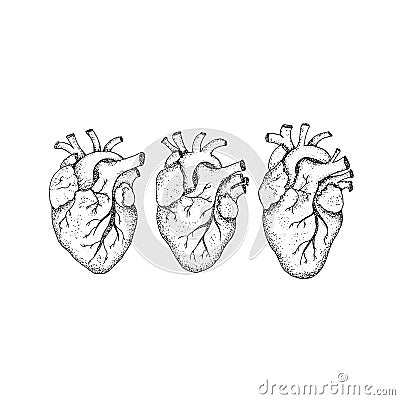 Dotwork Three Human Hearts Vector Illustration
