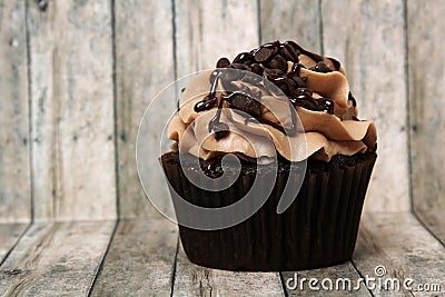 Double Chocolate Chip Cup Cake Stock Photo