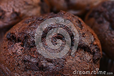 Double Chocolate Chip Muffin Close Up Stock Photo