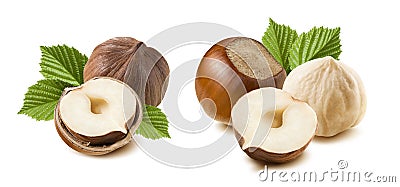 Double combo hazelnut nut set leaves isolated on white background Stock Photo