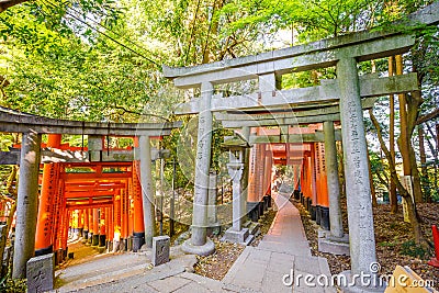 Double Corridor Fushimi Inari Editorial Stock Photo