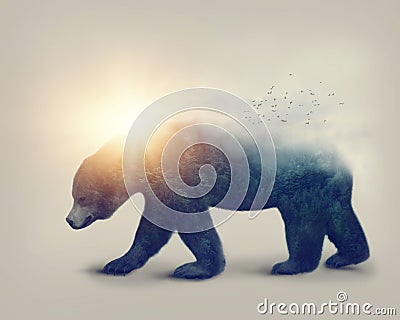 Double exposure with a bear Stock Photo