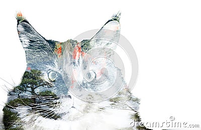 Double exposure of a cat, goldfishes and trees Stock Photo