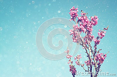 Double exposure of Spring Cherry blossoms tree. abstract background. dreamy concept with glitter overlay Stock Photo