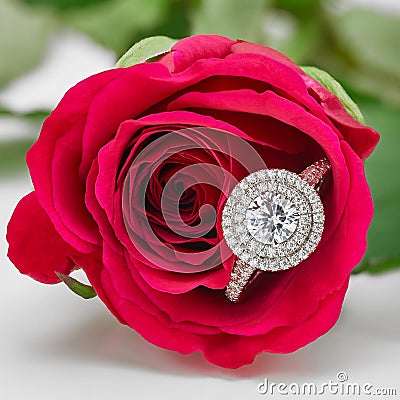 Double Halo Diamond Engagement Ring in Red Rose Stock Photo