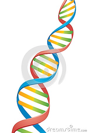 Double Helix DNA Strand Vector Illustration