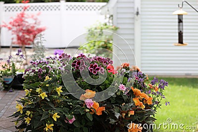 Double Impatiens, Begonias and Geraniums on a backyard patio table Stock Photo