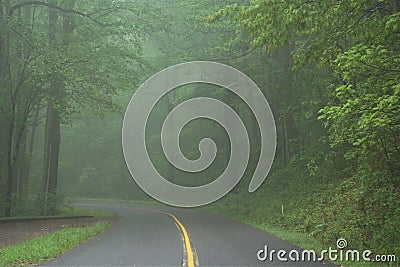 Double lane rural road leading into dark foggy summer forest Stock Photo