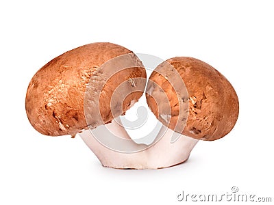 Double mushroom champignon Stock Photo