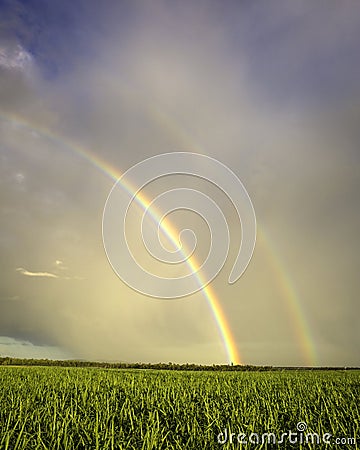 Double rainbow over the sugar cane Stock Photo