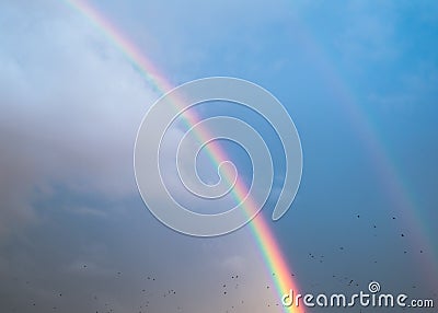 Double rainbow in the sky with clouds and birds Stock Photo