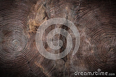 Double tree trunk cross section vintage wood texture Stock Photo