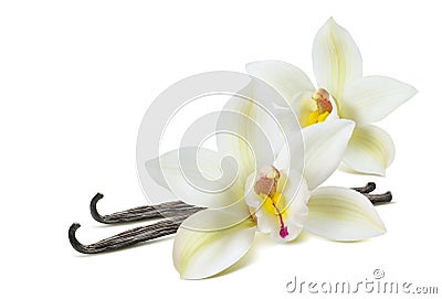 Double vanilla flower 2 isolated on white Stock Photo