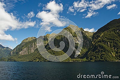 Doubtful Sound Stock Photo