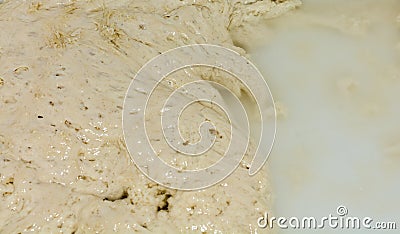 Dough for naturally leavened pizza. Close-up mother past. Food, italian cuisine and cooking concept Stock Photo