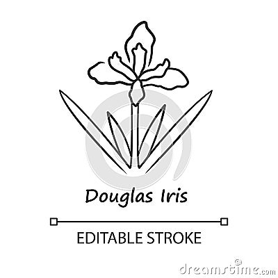 Douglas iris plant linear icon. California blooming wildflower with name. Garden flower. Iris douglasiana. Spring Vector Illustration