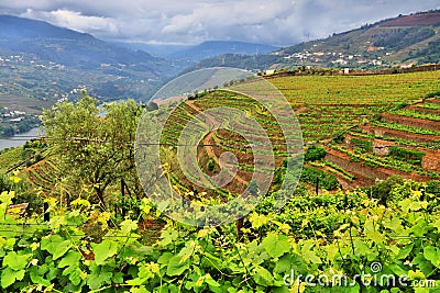 Douro Valley landscape Stock Photo