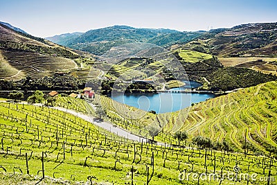 Douro Valley. Vineyards and landscape near Pinhao town, Portugal Stock Photo