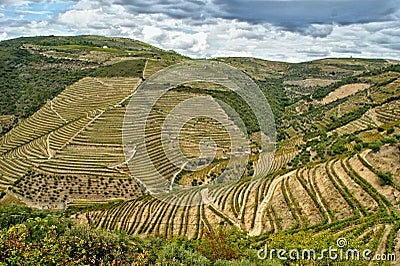 Douro Valley, vineyards and landscape near Regua Stock Photo