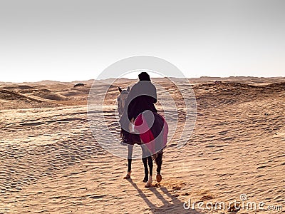Douz, Tunisia, Arabian knight in the desert at sunset Editorial Stock Photo