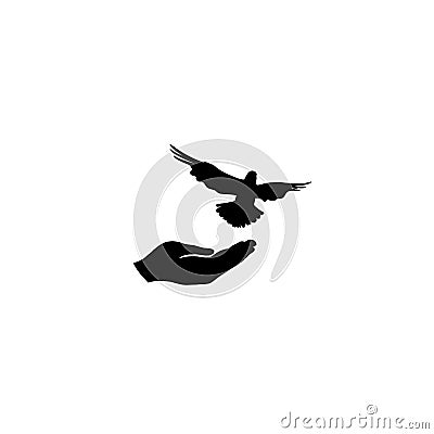 Dove bird free with hand. Pigeon flighing. Peace symbol. Freedom Stock Photo