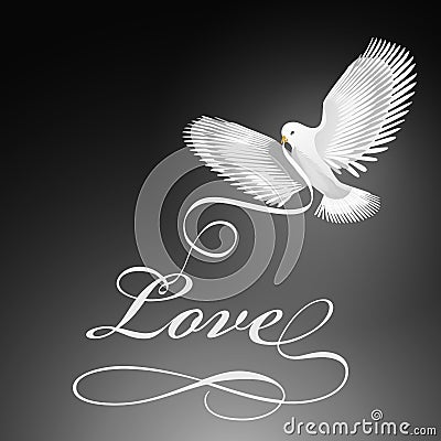 Dove bird of love Vector Illustration