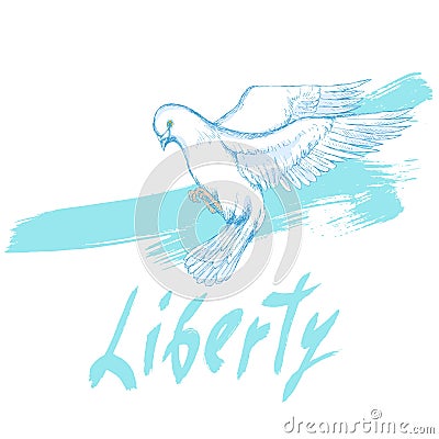 Dove, bird, symbol of peace and happiness, liberty. Hand sketch style drawing. The sleek silhouette on a white background. White b Stock Photo