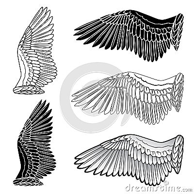 Dove bird wings set Vector Illustration