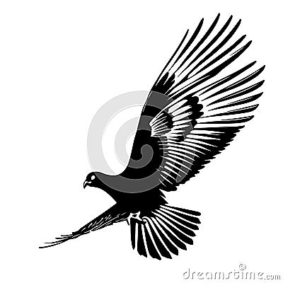 Dove in fly closeup. Also good for tattoo. Editable vector monochrome image with high details isolated on white Vector Illustration