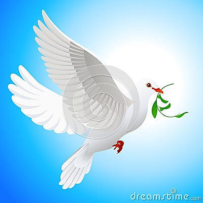 Dove holding leaf Cartoon Illustration