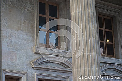 dove in large columns Stock Photo