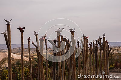 Dove statues on the sticks near entrance to Pigeon valley, beautiful canyon in Cappadocia,Turkey Stock Photo