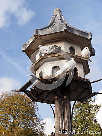 Dovecote at Killerton Court Stock Photo