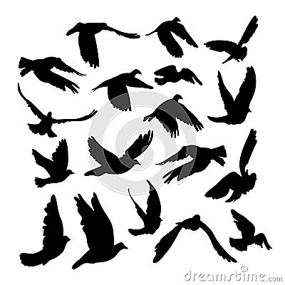 Doves and pigeons set for peace concept and wedding design. Flying dove sketch set. Vector Illustration