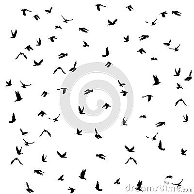 Doves and pigeons set for peace concept and Vector Illustration