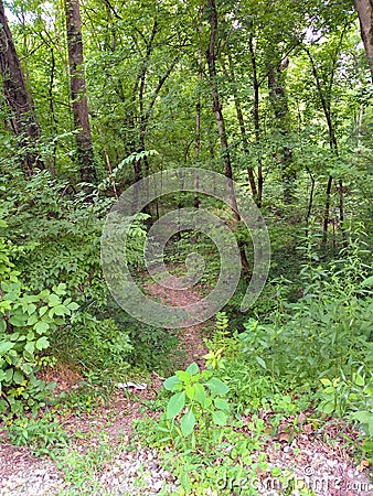 Down The Beaten Path Stock Photo