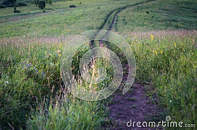 Downhill country dirt road winding in tall grass in Altai Mountains, Kazakhstan, at dusk Stock Photo